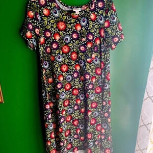 CLEARANCE! LulaRoe Carley XS‎ Dress Floral Print Excellent Condition!